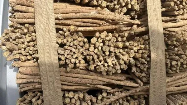 2026年4月20日首阳中药材市场快讯(种籽市场上货量大,人气高,关注度高)