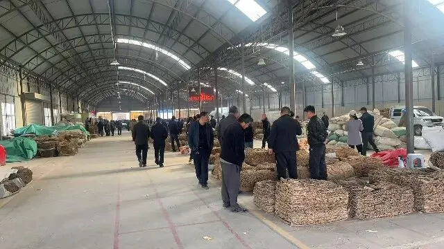 2026年4月20日首阳中药材市场快讯(种籽市场上货量大,人气高,关注度高)