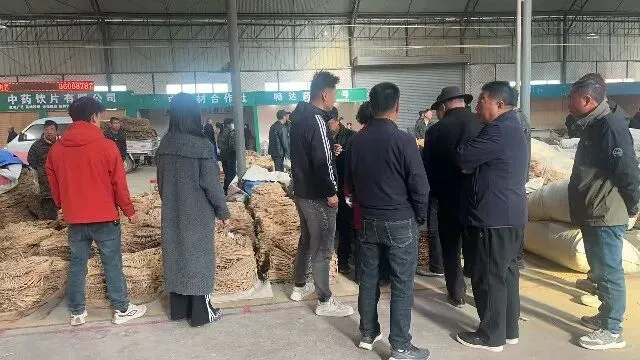 2026年4月20日首阳中药材市场快讯(种籽市场上货量大,人气高,关注度高)