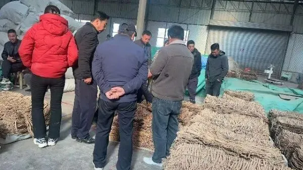 2026年4月20日首阳中药材市场快讯(种籽市场上货量大,人气高,关注度高)