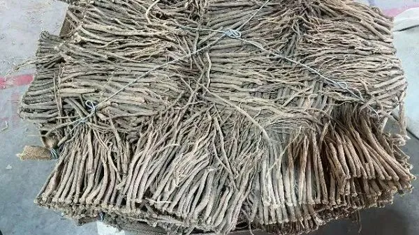 2026年4月20日首阳中药材市场快讯(种籽市场上货量大,人气高,关注度高)