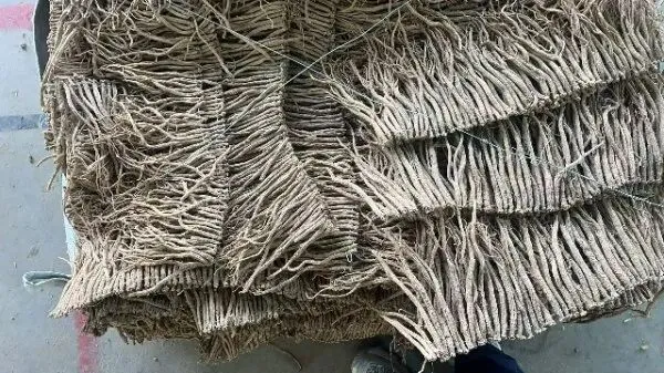 2026年4月20日首阳中药材市场快讯(种籽市场上货量大,人气高,关注度高)