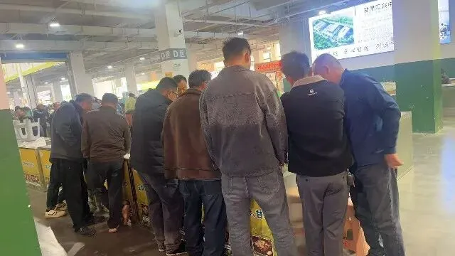 2026年4月20日首阳中药材市场快讯(种籽市场上货量大,人气高,关注度高)