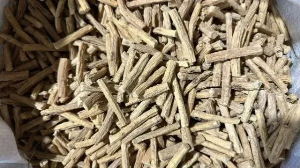 2026年4月20日首阳中药材市场快讯(种籽市场上货量大,人气高,关注度高)