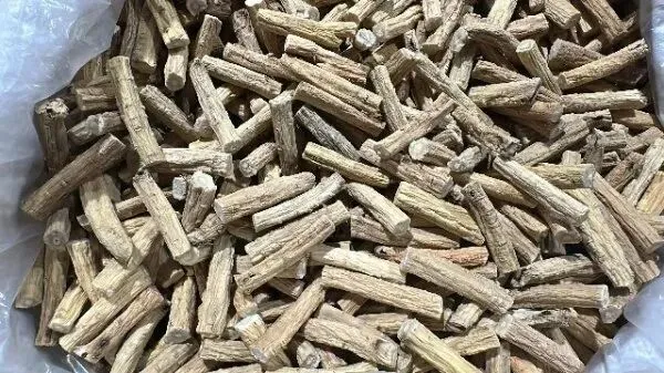 2026年4月20日首阳中药材市场快讯(种籽市场上货量大,人气高,关注度高)