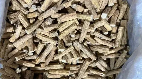 2026年4月20日首阳中药材市场快讯(种籽市场上货量大,人气高,关注度高)