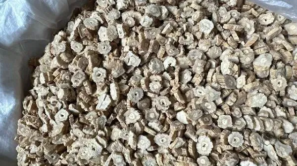 2026年4月20日首阳中药材市场快讯(种籽市场上货量大,人气高,关注度高)