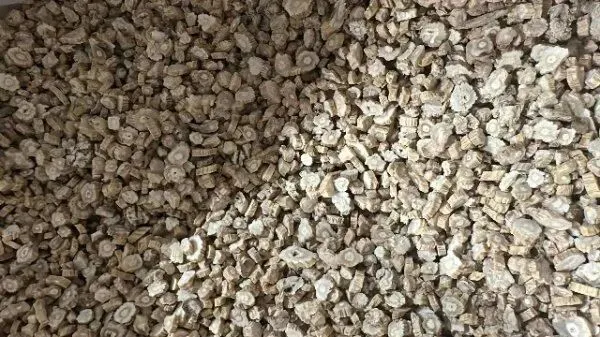 2026年4月20日首阳中药材市场快讯(种籽市场上货量大,人气高,关注度高)