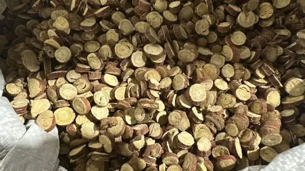 2026年4月20日首阳中药材市场快讯(种籽市场上货量大,人气高,关注度高)