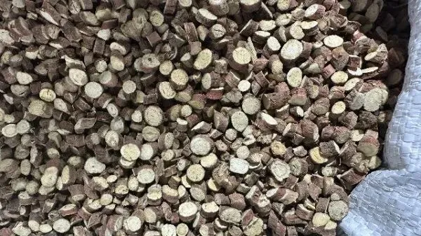 2026年4月20日首阳中药材市场快讯(种籽市场上货量大,人气高,关注度高)