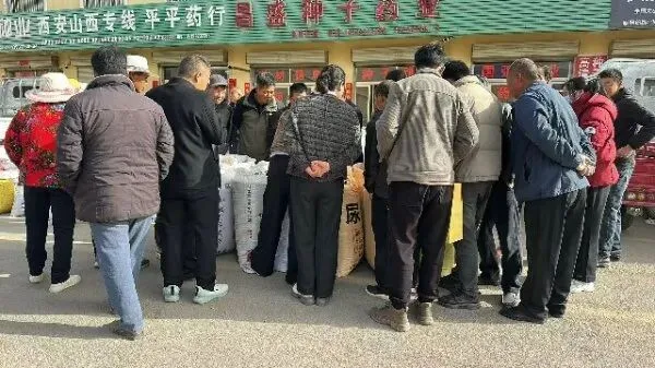 2026年4月20日首阳中药材市场快讯(种籽市场上货量大,人气高,关注度高)