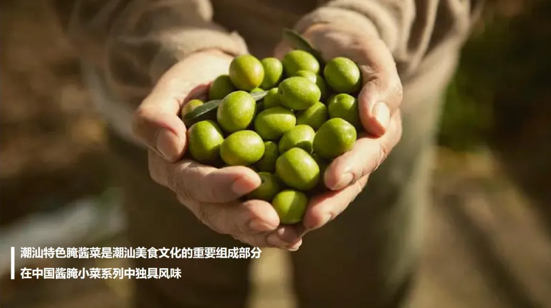 2024【创意营销】潮汕佬橄榄菜短视频策划方案