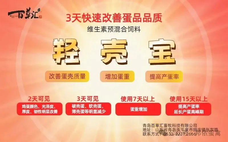 蛋价早报(4月21日)鸡蛋市场动态参考