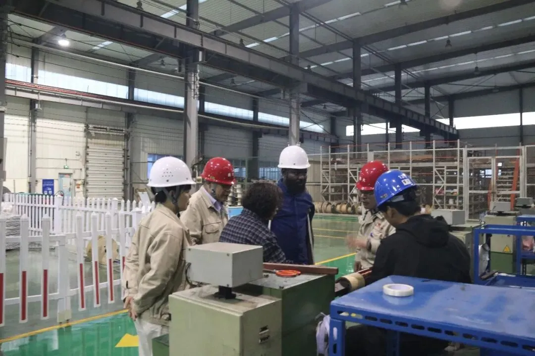 深化海外合作 共拓非洲市场 | 尼日利亚外商莅临我司洽谈变压器海外合作事宜