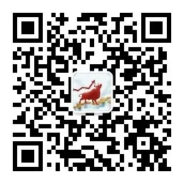 4.21 当前市场的调整节奏属于正常现象