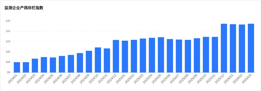 2026年3月鸽业市场监测简报