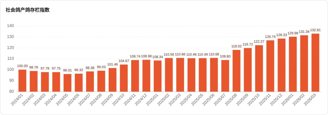 2026年3月鸽业市场监测简报