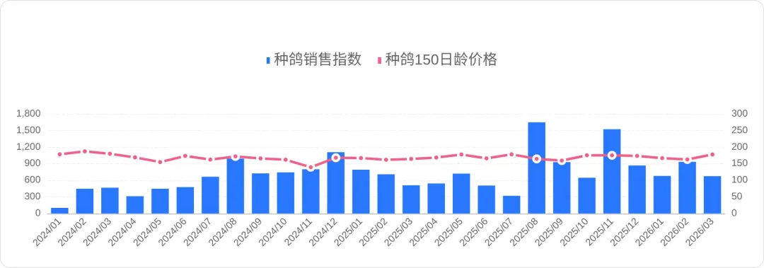 2026年3月鸽业市场监测简报