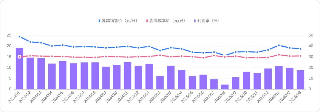 2026年3月鸽业市场监测简报