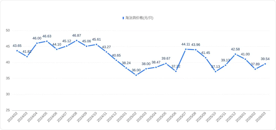 2026年3月鸽业市场监测简报