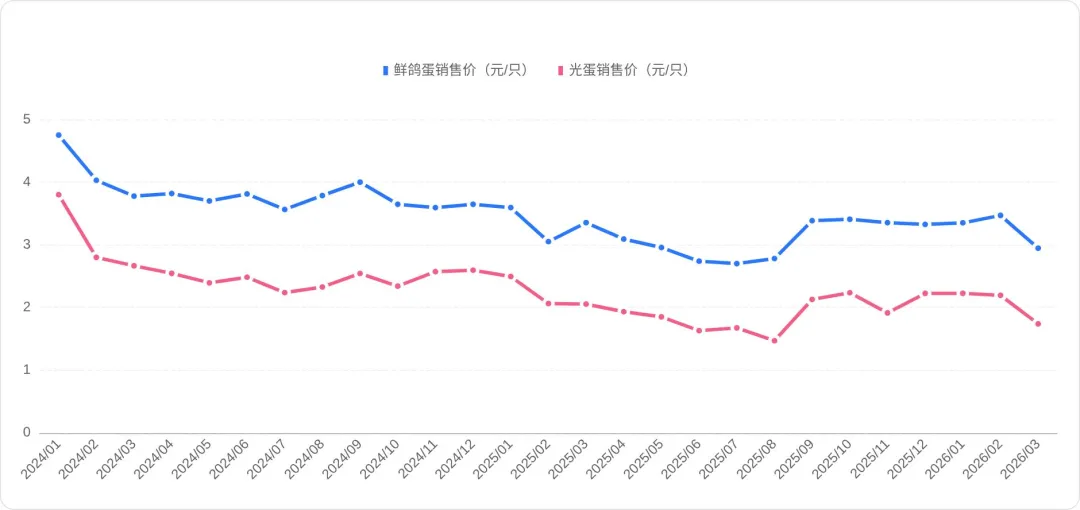 2026年3月鸽业市场监测简报