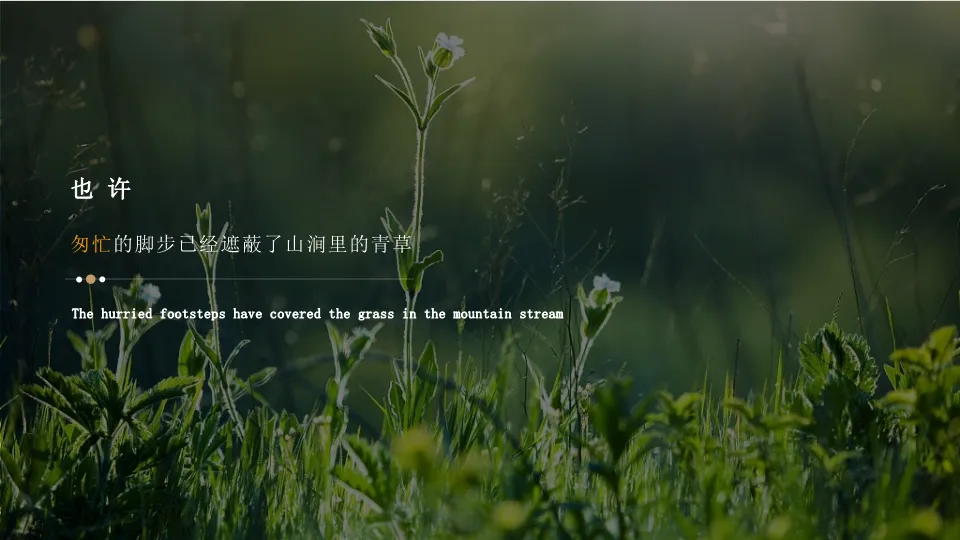 品牌营销人必看:如何打造一个成功的“智选便捷”民宿产业链方案