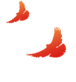 党建引领聚匠心 以码为梦启新程|计算机技术学院隆重举行 “以码为梦” 创意工坊启动仪式