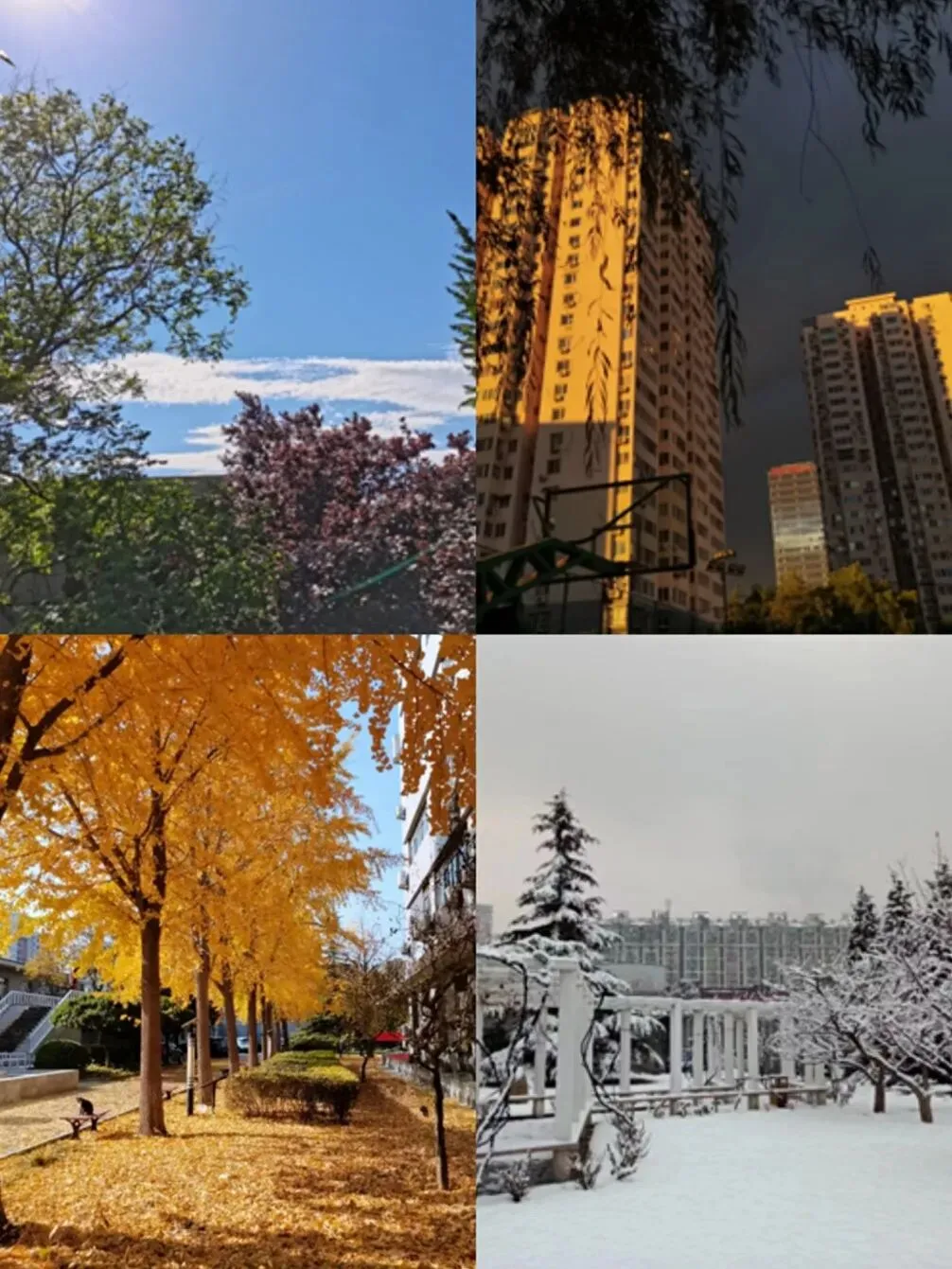 愿前程似锦,未来可期 ——营销1801B班开展毕业德育答辩