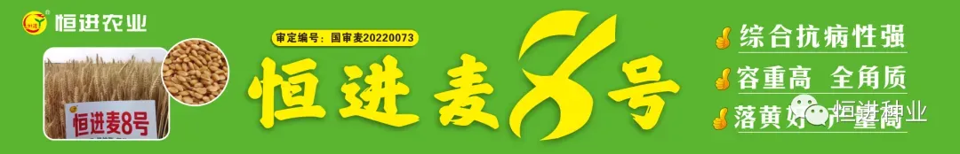 稀缺臻种 燃爆江淮 漯麦49九命麦皖北市场启动会圆满成功