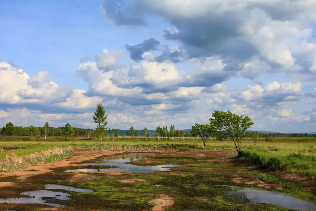 湖南市场重磅首发|《东极穿越北极》13 日大型自驾之旅唯此龙江・2026,一场不可复刻的北境自驾史诗