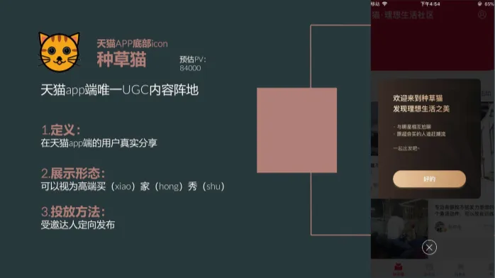 女装品牌9-11月淘宝内容营销方案