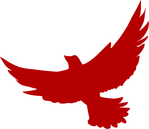 【党建引领】红心服务 市场共建——晋江国际鞋纺城“党建+”邻里中心惠商利民纪实