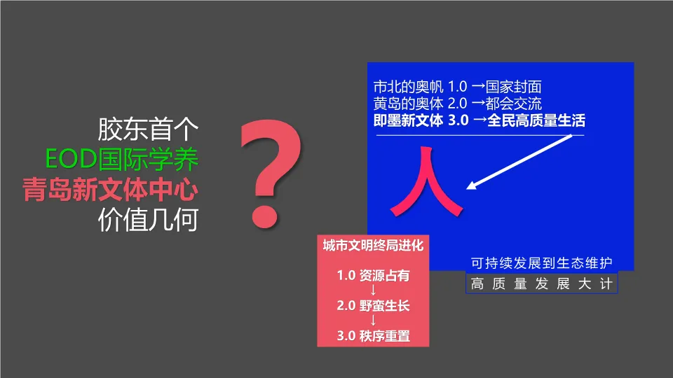 青岛金隅青年社区学府公园项目营销推广策略.PDF 309P