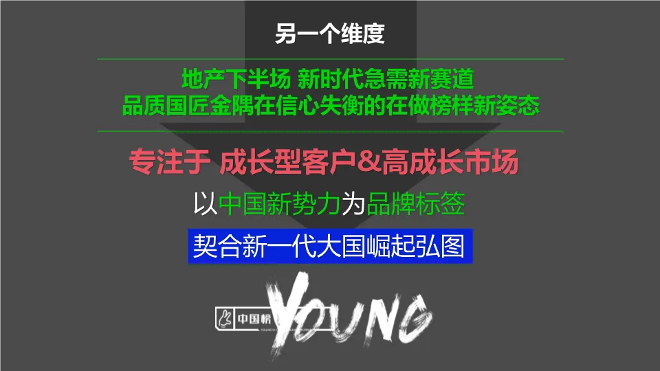 青岛金隅青年社区学府公园项目营销推广策略.PDF 309P