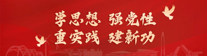 共青团天津市滨海新区市场监督管理局委员会圆满完成换届选举工作
