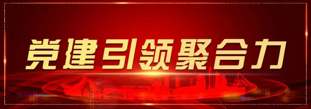 共青团天津市滨海新区市场监督管理局委员会圆满完成换届选举工作