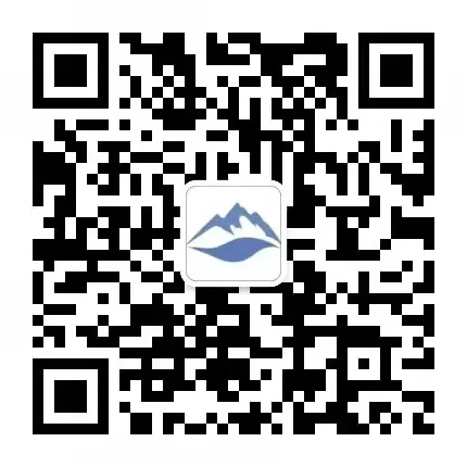 2025澳门保险市场全景解析~