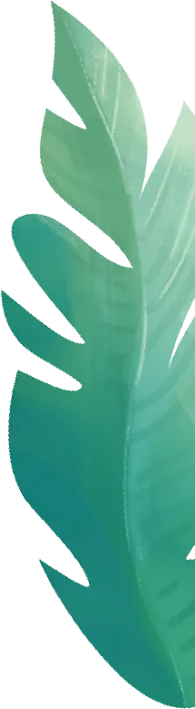 缙云县市场监管局开展幼儿园开学复课核查验收