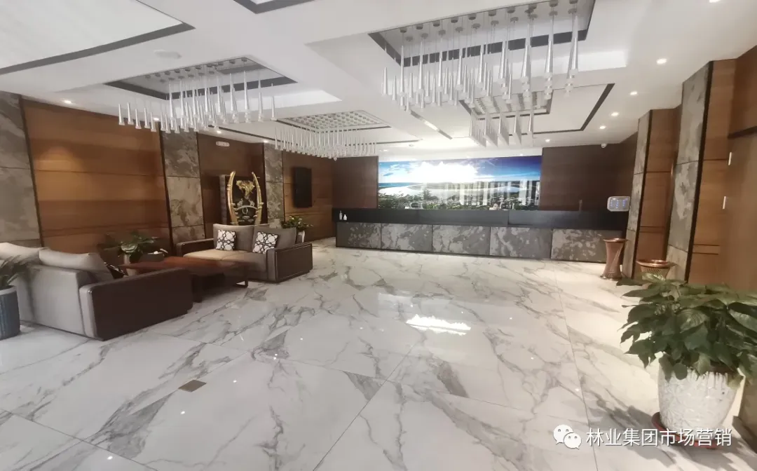 跨越山海,心手相连——市场营销中心深入10个林业局调研纪实