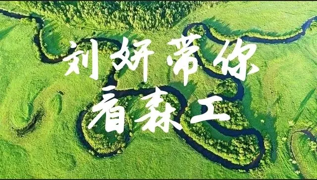 跨越山海,心手相连——市场营销中心深入10个林业局调研纪实