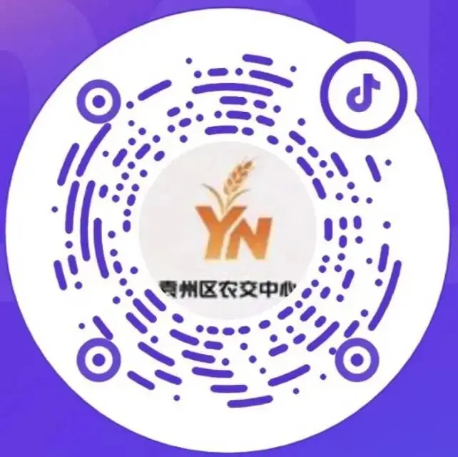 拍租成交公示(袁山东路135号,新箭道市场)