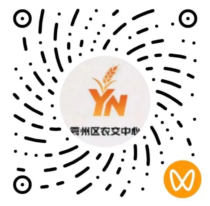 拍租成交公示(袁山东路135号,新箭道市场)