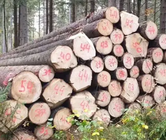 冰火两重天:德国木材市场陷入“原木荒”与“销售寒”