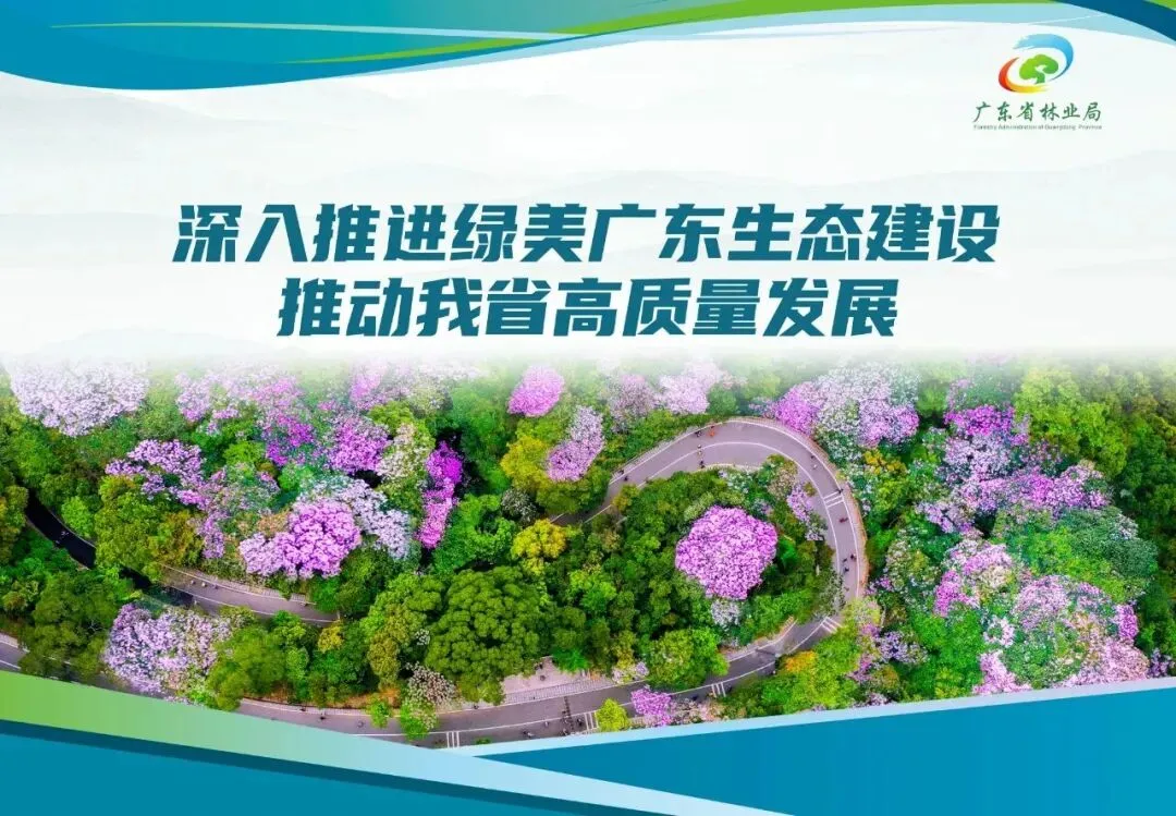 关于乌沙社区李屋路和市场路交汇处围蔽施工的通告