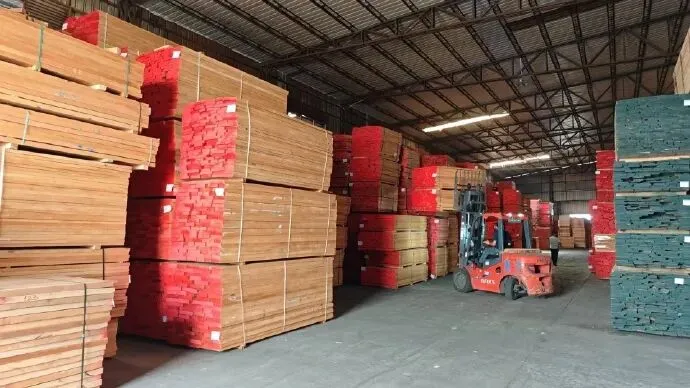 冰火两重天:德国木材市场陷入“原木荒”与“销售寒”