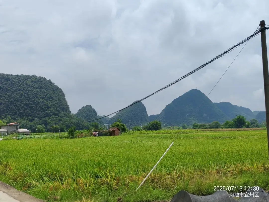 海南蛋白桑市场营销方案