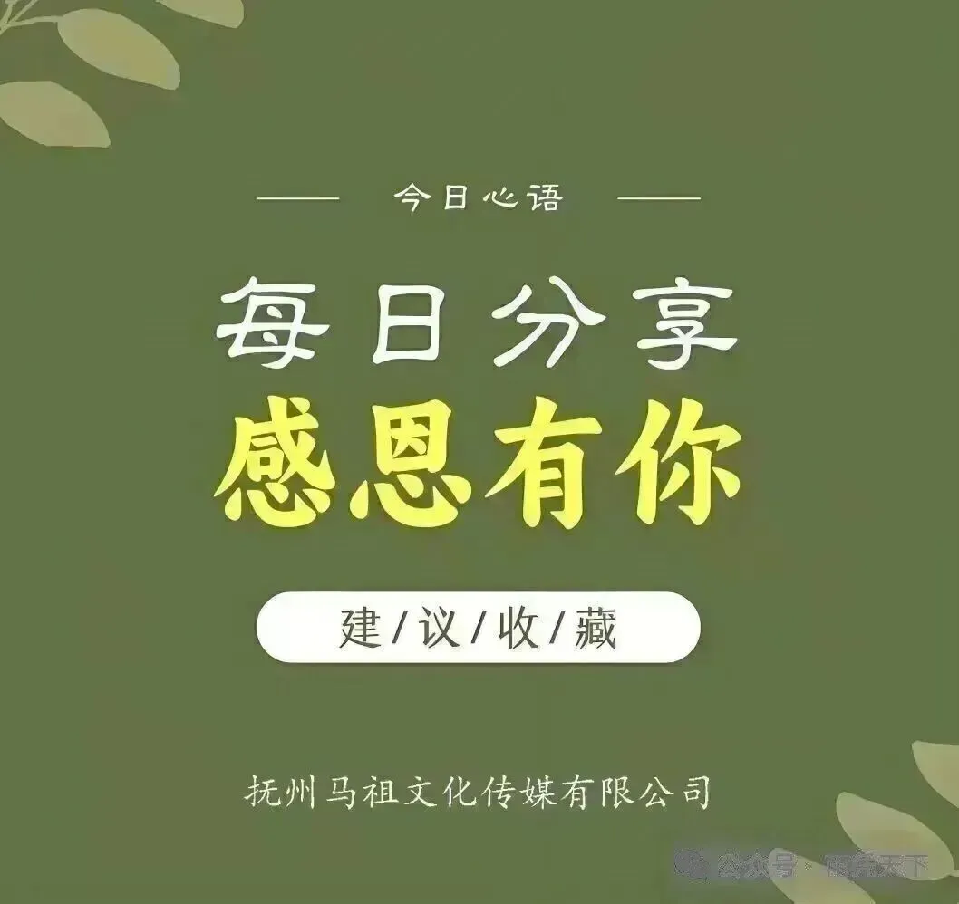 海南蛋白桑市场营销方案