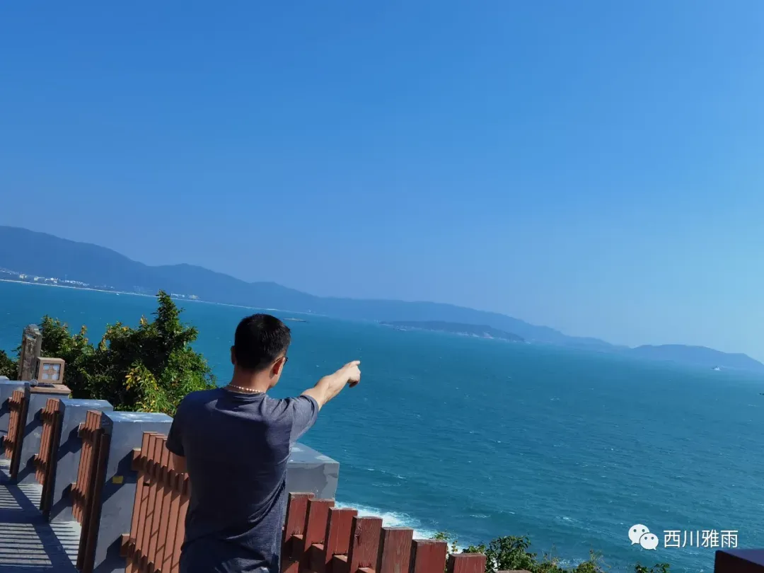 海南蛋白桑市场营销方案