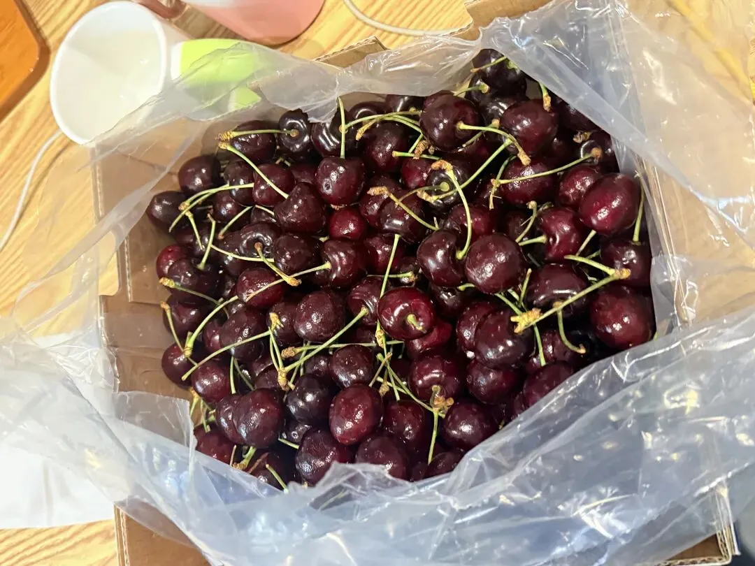 20出头,爱逛批发市场,那就抠抠搜搜的买吧