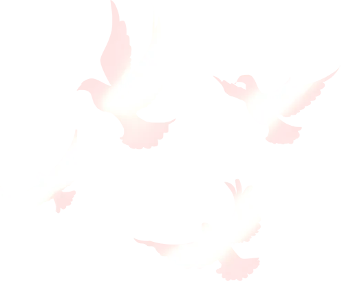 党建联建共建|长春热电公司市场营销党支部与太原东山燃机热电公司新能源管理党支部开展联建共建活动